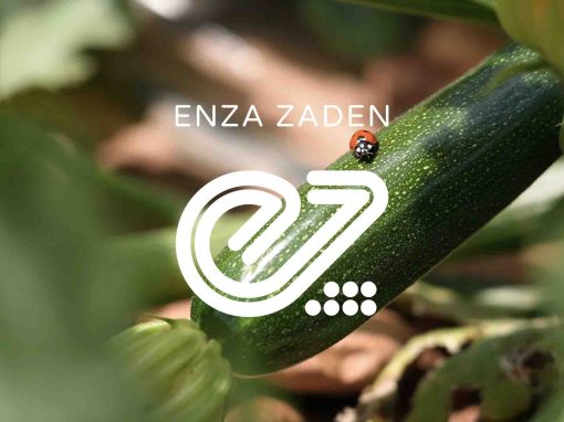 LA COURGETTE « RENEGADE » PAR ENZA ZADEN